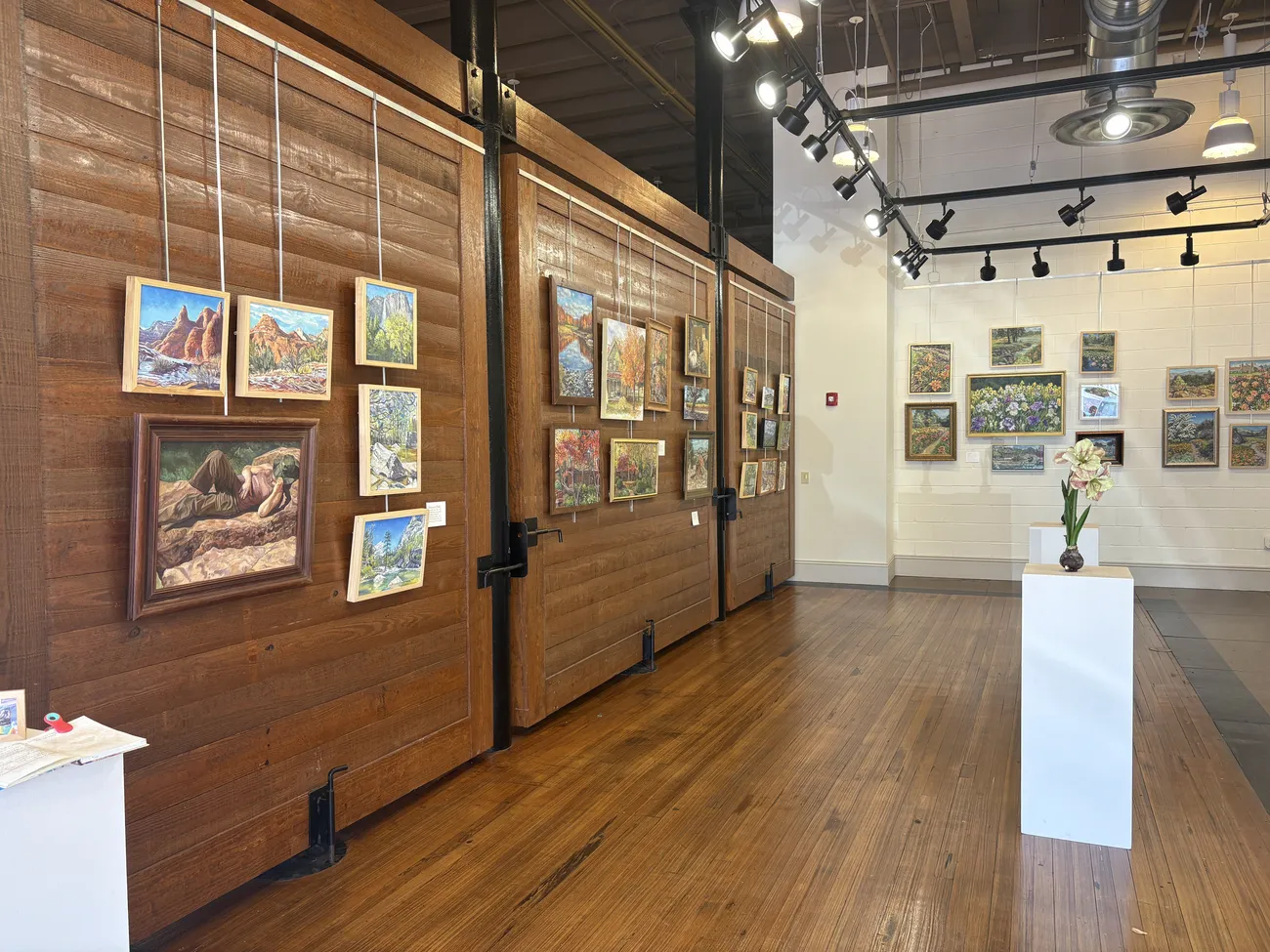 UA Galleries IMG 9701